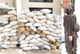 尼日利亚是非洲打击毒品贩运的伙伴