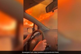 可怕的视频显示，一名女子试图逃离意大利西西里岛致命的野火
